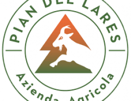 Immagine 5 di FORMAGGELLA DEL LUINESE D.O.P. CASEIFICIO PIAN DEL LARES