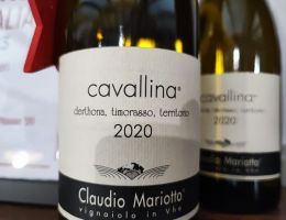 Immagine 1 di DERTHONA  TIMORASSO CAVALLINA  CLAUDIO MARIOTTO VINI