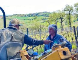 Immagine 2 di DERTHONA  TIMORASSO CAVALLINA  CLAUDIO MARIOTTO VINI