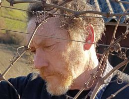 Immagine 5 di NIBIO VINO ROSSO STEFANO BELLOTTI CASCINA DEGLI ULIVI