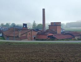 Immagine 5 di GRAPPA RISERVA 15 ANNI SAECULUM TERTIUM ANTICA DISTILLERIA DI ALTAVILLA