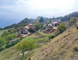 Immagine 2 di ROBIOLA NELLE FOGLIE DI FICO CASEIFICIO STUTZ