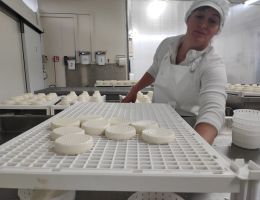 Immagine 5 di FORMAGGIO MONTÉBORE CASEIFICIO TERRE DEL GIAROLO