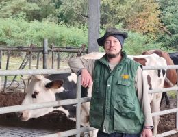 Immagine 5 di FORMAGGIO CASTELLETTO A LATTE DI VACCA AGRICOLA CASTELLETTO