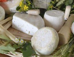 Immagine 2 di ROBIOLA DI PONZONE A LATTE DI CAPRA CASEIFICIO CASCINA VELLERO