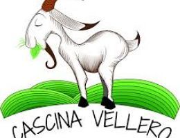 Immagine 3 di ROBIOLA DI PONZONE A LATTE DI CAPRA CASEIFICIO CASCINA VELLERO