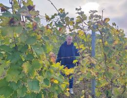 Immagine 5 di BARBERA D'ASTI SUPERIORE D.O.C. VIGNA SERRA  GATTO PIERFRANCESCO VINI