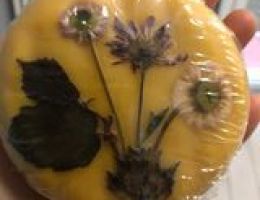 Immagine 2 di ROBIOLA NELLA CERA D’API CANDELA DELLA LANGHE CASEIFICIO STUTZ