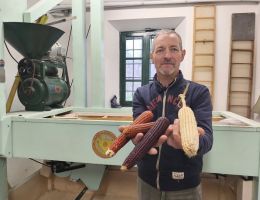 Immagine 1 di FARINA PER POLENTA AUTOCTONA LENTATE DI SESTO CALENDE CASCINA MOLINO