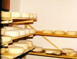 Immagine 2 di FORMAGGELLA DEL LUINESE D.O.P. CASEIFICIO GATTA ALBINO