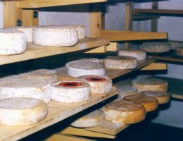 Immagine 3 di FORMAGGELLA DEL LUINESE D.O.P. CASEIFICIO GATTA ALBINO