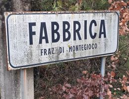 Immagine 5 di QUARTA RUNA STILE FRUIT BEER PESCA DI VOLPEDO BIRRIFICIO MONTEGIOCO