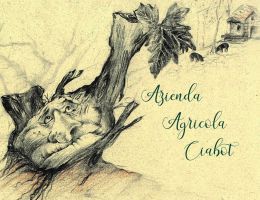 Immagine 2 di PROSCIUTTO COTTO DA SUINO NERO DI PARMA SALUMI CIABOT