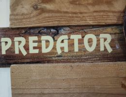 Immagine 5 di PREDATOR STILE STRONG ALE BELGA BIRRIFICIO SGUARAUNDA  LA BERGAMASCA