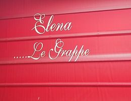 Immagine 4 di GRAPPA DI BAROLO 10 ANNI BOTTI DI CILIEGIO ELENA BORRA DISTILLERIA VIEUX MOULIN