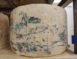 Immagine 5 di GORGONZOLA PICCANTE D.O.P. PRIMULA VERDE CASIFICIO E.ANGELO BARUFFALDI