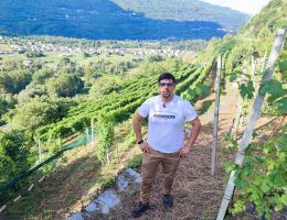 Immagine 5 di SFORZATO DELLA VALTELLINA SOLSTIZIO BALGERA 1885 VINI