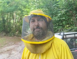 Immagine 4 di MIELE DI MILLEFIORI DELLA VALTELLINA MIELE CURTI