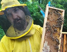 Immagine 5 di MIELE DI MILLEFIORI DELLA VALTELLINA MIELE CURTI