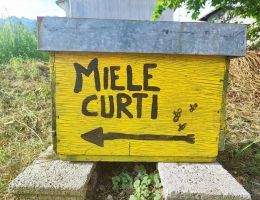 Immagine 2 di MIELE DI ACACIA DELLA VALTELLINA MIELE CURTI