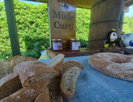 Immagine 4 di MIELE DI ACACIA DELLA VALTELLINA MIELE CURTI