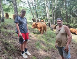 Immagine 4 di SLINZEGA DI TEGLIO DA RAZZA HIGHLAND AGRICOLA COF E CASELE