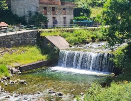 Immagine 3 di LA MASCHERPA DELLO STORICO RIBELLE VALLI DEL BITTO