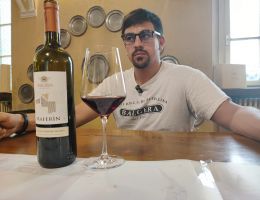 Immagine 3 di VALTELLINA VALGELLA SUPERIORE RISERVA MAFERIN BALGERA VINI 1885