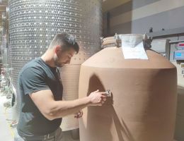 Immagine 5 di CALVARIO IL DOSSO DI LUCA ARCHETTI