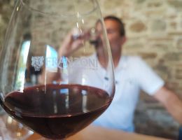 Immagine 3 di BOTTICINO D.O.C. TENUTA BETTINA CANTINA EMILIO FRANZONI