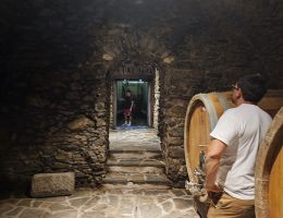 Immagine 3 di VALTELLINA VALGELLA SUPERIORE RISERVA PIZAMEI BALGERA VINI 1885