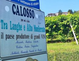 Immagine 5 di CANELLI D.O.C.G. MOSCATO RAIRI' TENUTA DEI FIORI DI VALTER BOSTICARDO