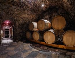 Immagine 4 di VALTELLINA SUPERIORE VALGELLA RISERVA QUIGNA BALGERA VINI 1885