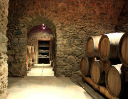 Immagine 5 di VALTELLINA SUPERIORE VALGELLA RISERVA QUIGNA BALGERA VINI 1885