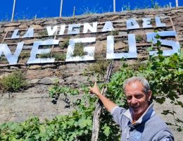 Immagine 2 di ROSSO DI VALTELLINA D.O.C. DEL NEGUS VIGNAIOLO BRUNO LEUSCIATTI