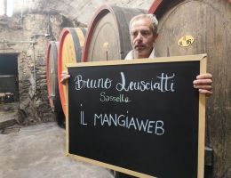 Immagine 2 di VALTELLINA SUPERIORE SASSELLA RISERVA DEL NEGUS BRUNO LEUSCIATTI