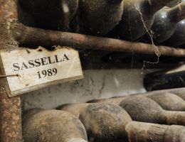 Immagine 4 di VALTELLINA SUPERIORE SASSELLA RISERVA DEL NEGUS BRUNO LEUSCIATTI