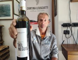 Immagine 1 di VALTELLINA SUPERIORE SASSELLA DEL NEGUS CANTINA BRUNO LEUSCIATTI