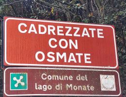 Immagine 5 di RICOTTA DI OSMATE CASEIFICIO NORDEN