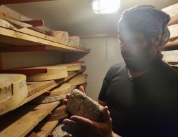 Immagine 1 di MASCHERBA STAGIONATURA 12 MESI CASARO CARLO DUCA