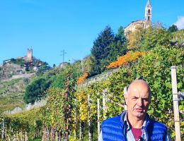 Immagine 4 di VALTELLINA ROSSO D.O.C. GIANATTI CANTINA GIANATTI GIORGIO