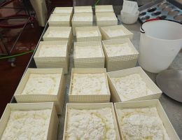 Immagine 4 di TOMA NOSTRANA DI OSMATE CASEIFICIO NORDEN DI CADREZZATE CON OSMATE