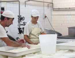 Immagine 5 di TOMA NOSTRANA DI OSMATE CASEIFICIO NORDEN DI CADREZZATE CON OSMATE