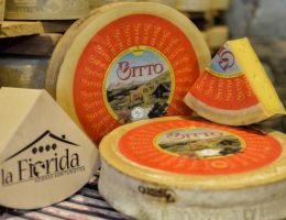 Immagine 1 di BITTO VALTELLINA D.O.P.  AGRI-CASEIFICIO LA FIORIDA
