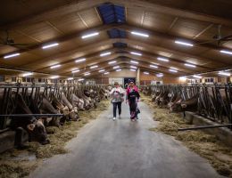 Immagine 3 di BITTO VALTELLINA D.O.P.  AGRI-CASEIFICIO LA FIORIDA