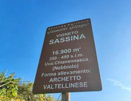 Immagine 4 di VALTELLINA SUPERIORE GRUMELLO D.O.C.G. VIGNETO SASSINA CANTINA GIANATTI GIORGIO