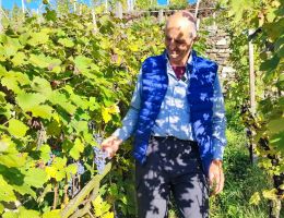 Immagine 5 di VALTELLINA SUPERIORE GRUMELLO D.O.C.G. VIGNETO SASSINA CANTINA GIANATTI GIORGIO