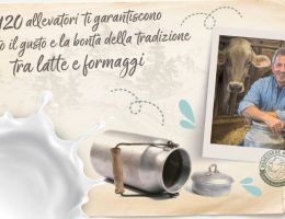 Immagine 3 di VALTELLINA CASERA D.O.P. 6 MESI LATTERIA SOCIALE VALTELLINA