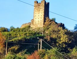 Immagine 4 di VALTELLINA SUPERIORE GRUMELLO D.O.C.G. SAN MARTINO CANTINA GIANATTI GIORGIO