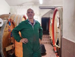 Immagine 5 di VALTELLINA SUPERIORE GRUMELLO D.O.C.G. SAN MARTINO CANTINA GIANATTI GIORGIO